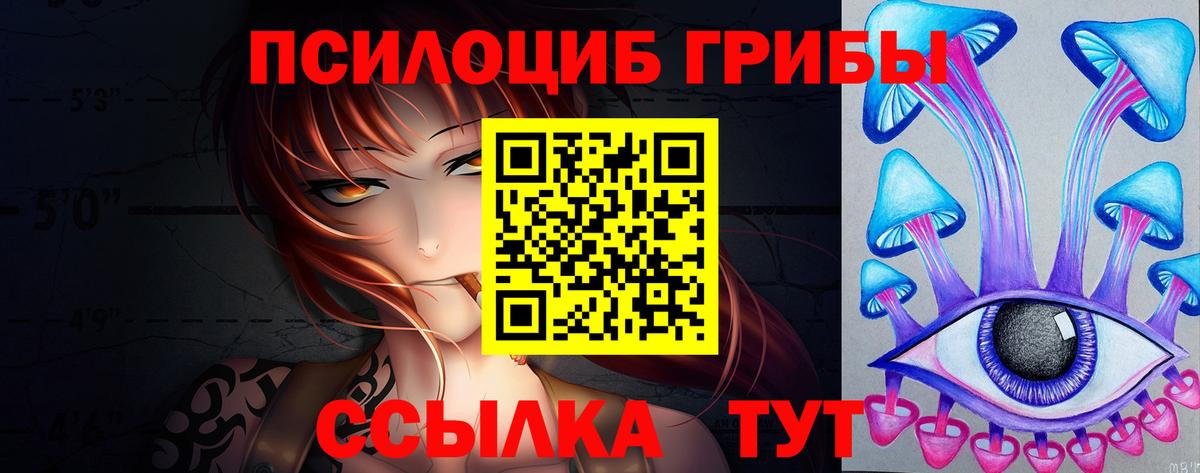 Нововоронеж  Псилоцибиновые грибы GOLDEN TEACHER  Вход с VPN  Псилоцибиновые грибы Magic Shrooms 