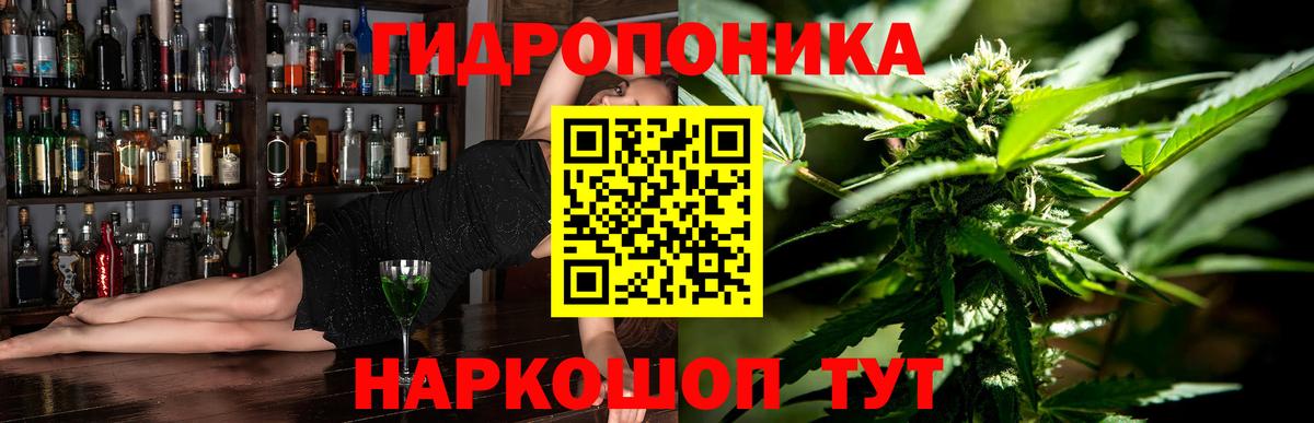 Шишки марихуана Amnesia Нововоронеж